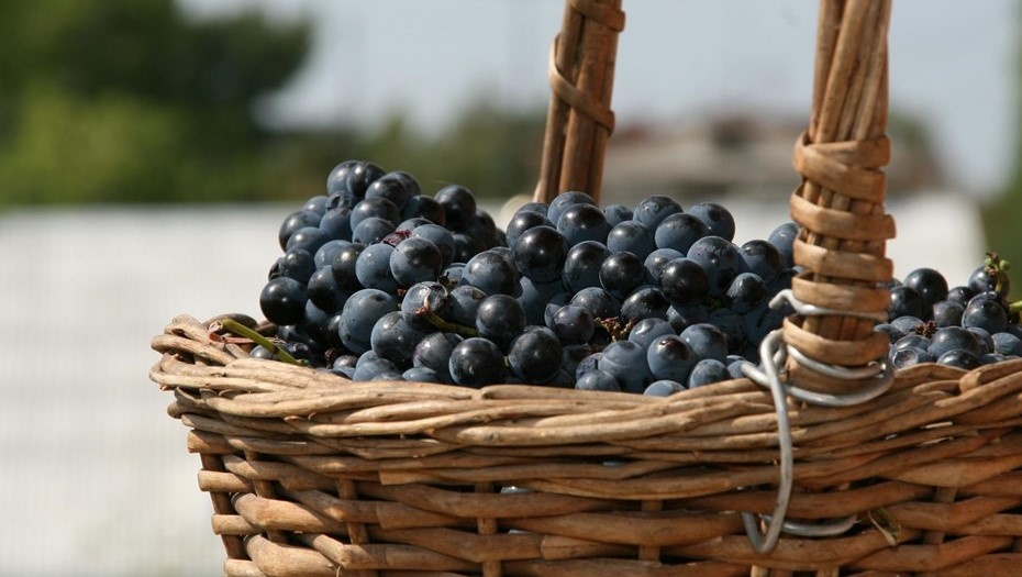    Автор фото: Зубкова Татьяна