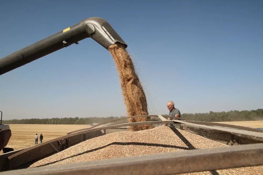    © "Интерфакс". Федор Ларин