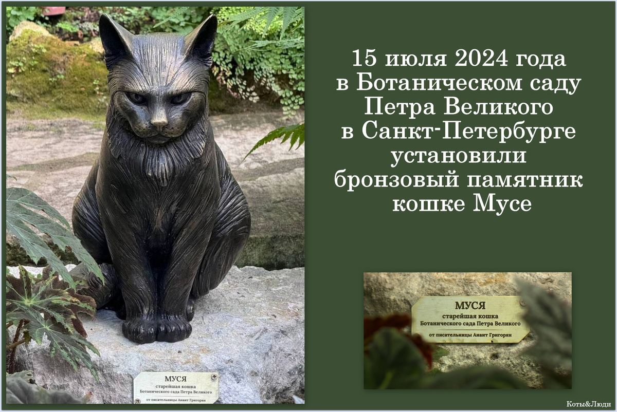 Коллаж автора