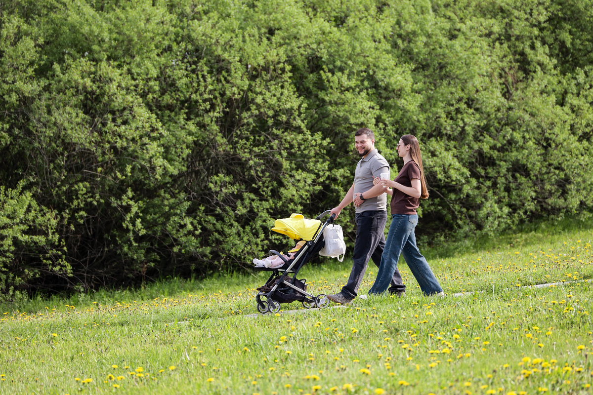 Источник фото: https://www.shutterstock.com/