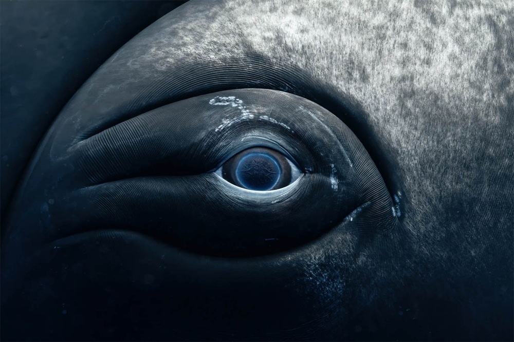    Rachel Moore, unworldoceansday.org