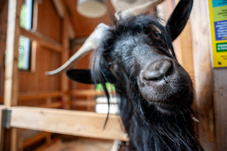    Фото: Юлия Федотова