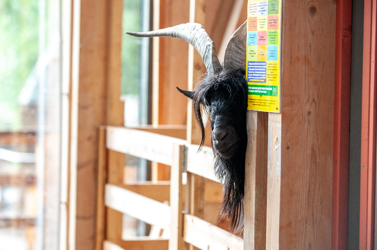 Фото: Юлия Федотова