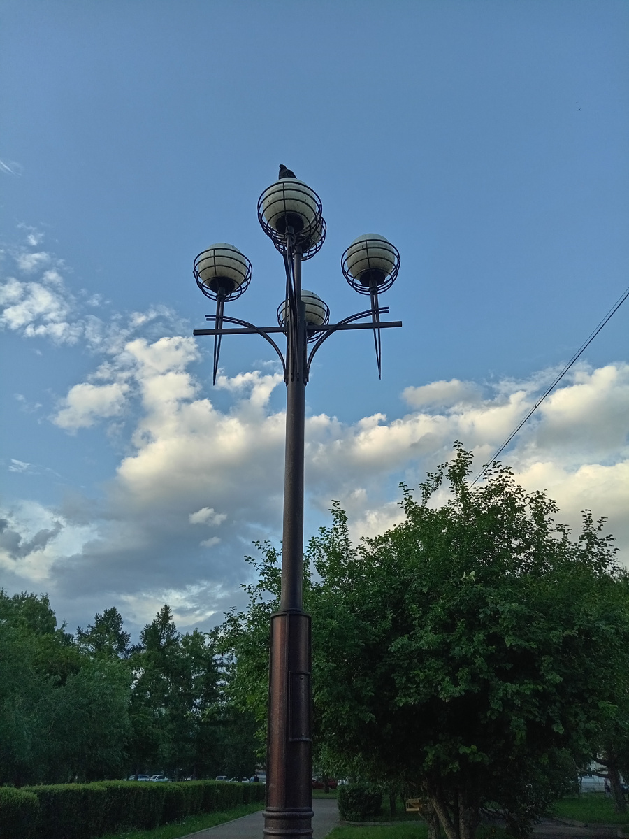 Бежим по дорожке 