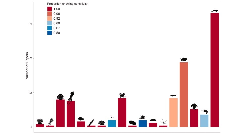   Rob Williams et al. / Marine Pollution Bulletin, 2025