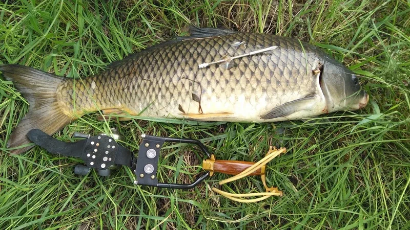 Фото с сайта: http://avatars.mds.yandex.net