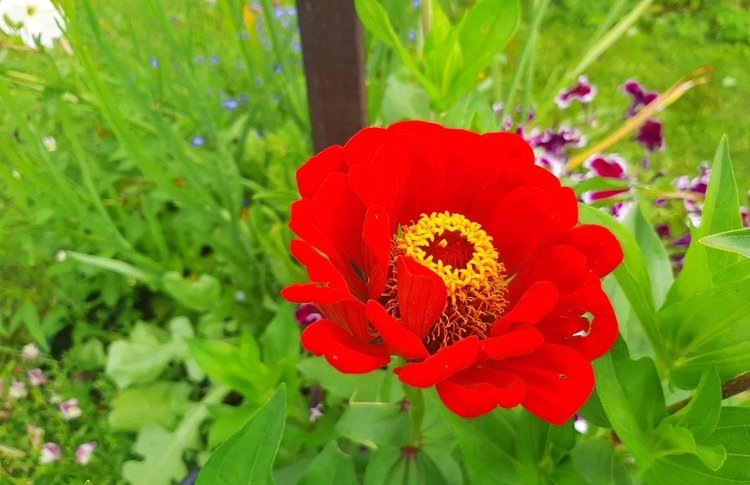    Фото: Лукьянов Дмитрий, AgroXXI.ru