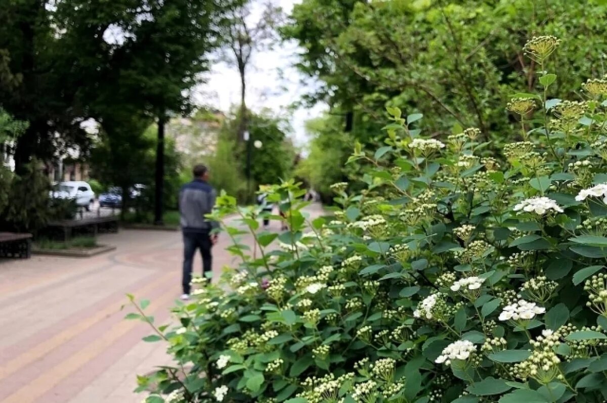    В Ростове приводят в порядок въездную группу на Таганрогской/Малиновского