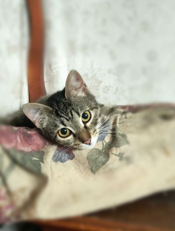 Про меня, про меня рассказывают! Мне приятно!