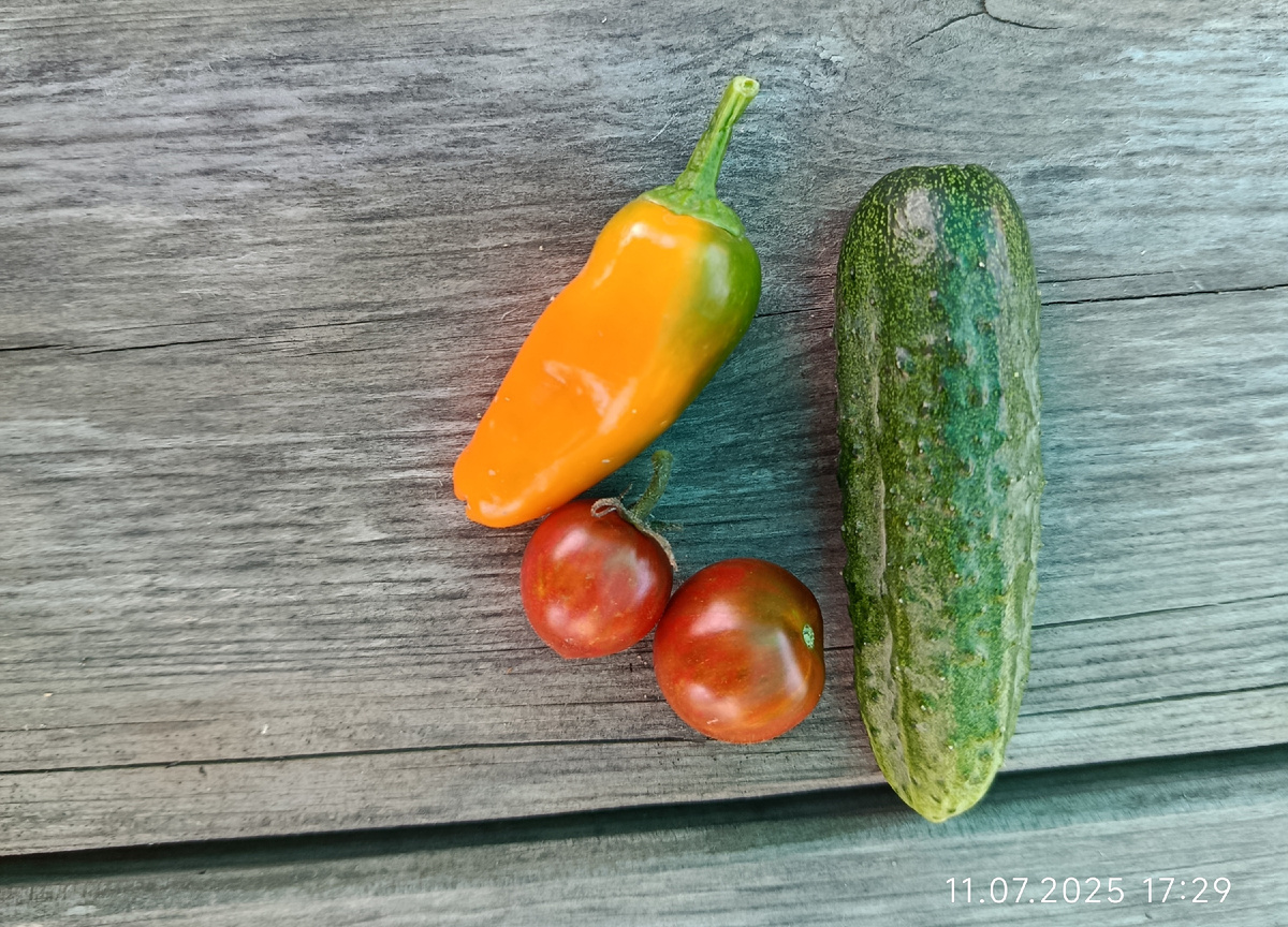 Дата 11 июля