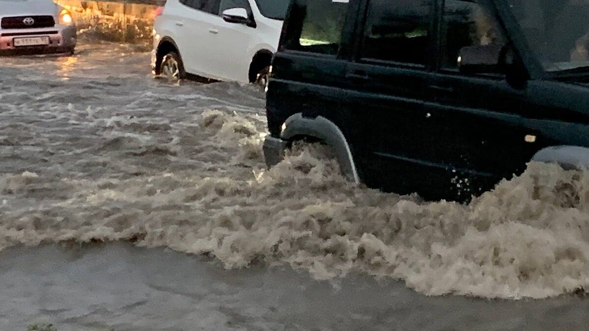    Фото: телеканал «Краснодар»