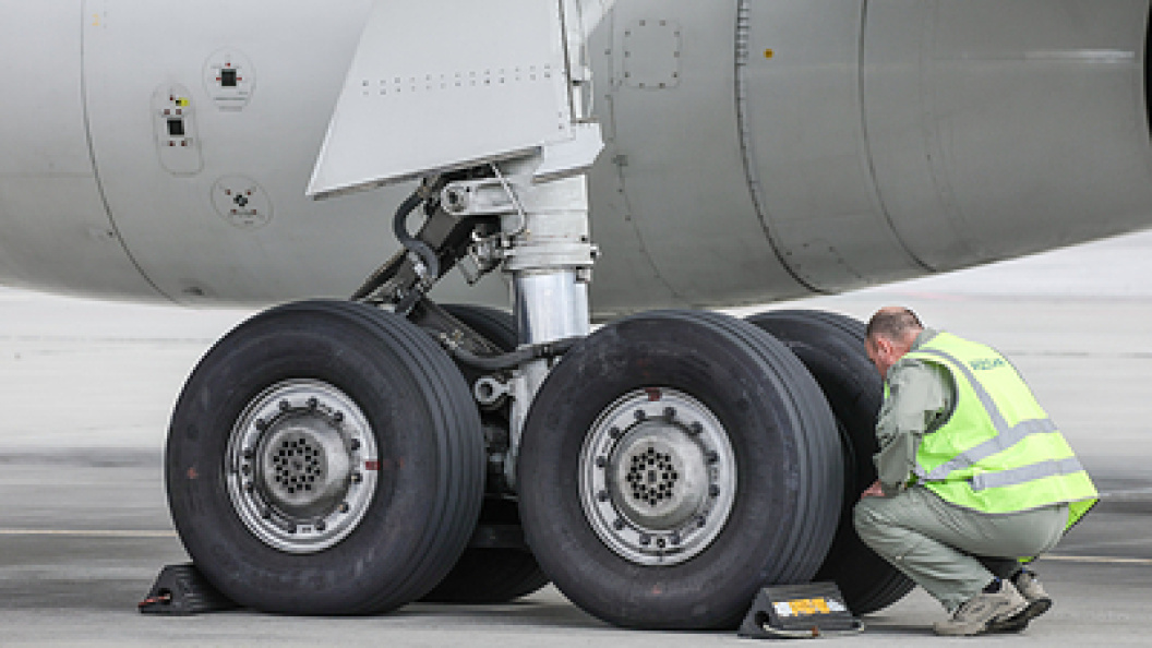    Фото: Roman Naumov/URA.RU/Globallookpress