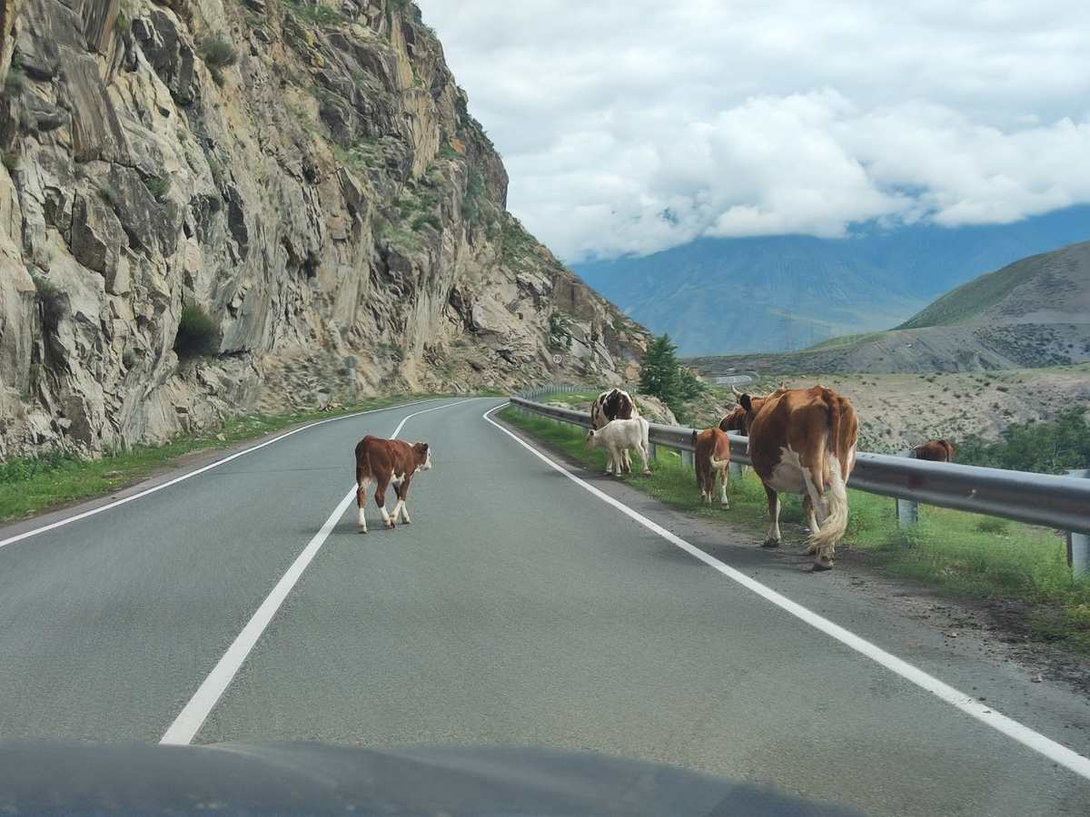 Дороги Горного Алтая