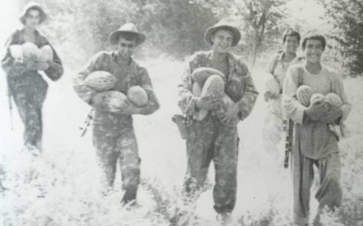 Дружба народов: советские пограничники и афганцы из отряда местной самообороны собирают урожай. ДРА, 1983 год
