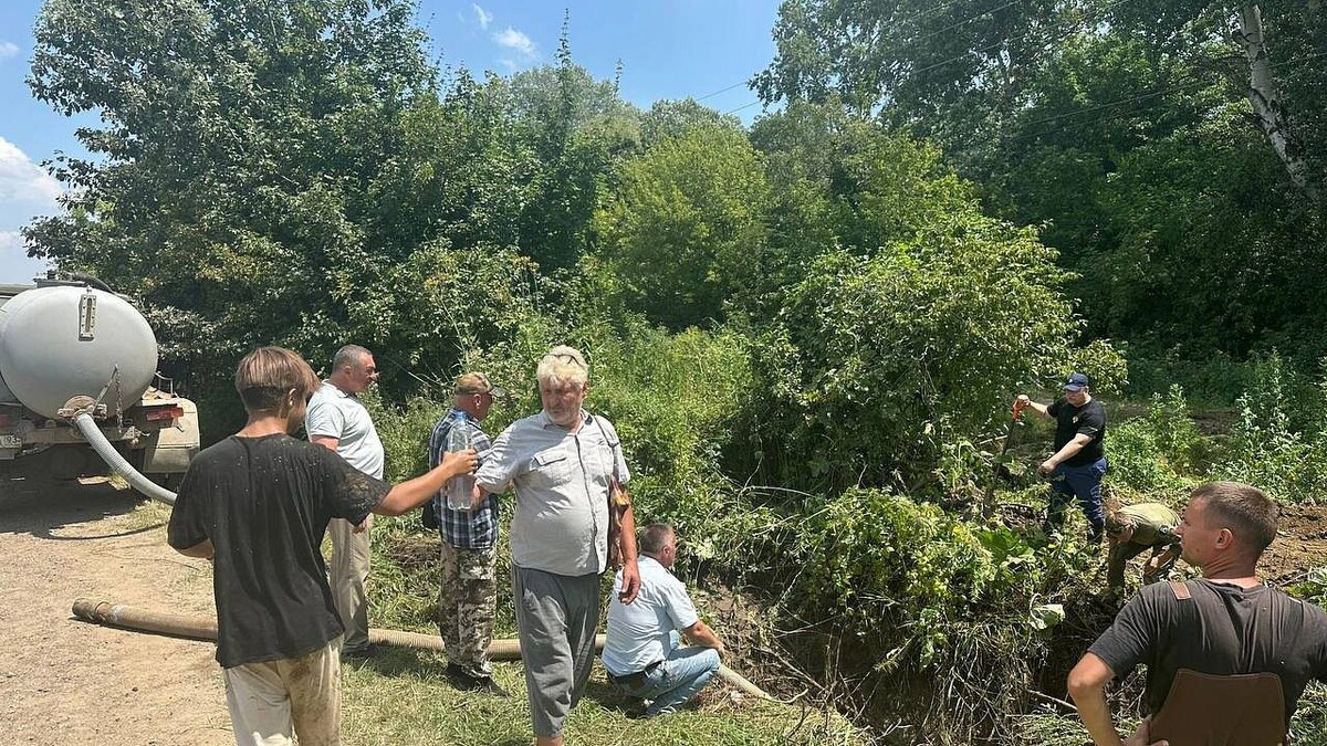    Фото: t.me/proc_23