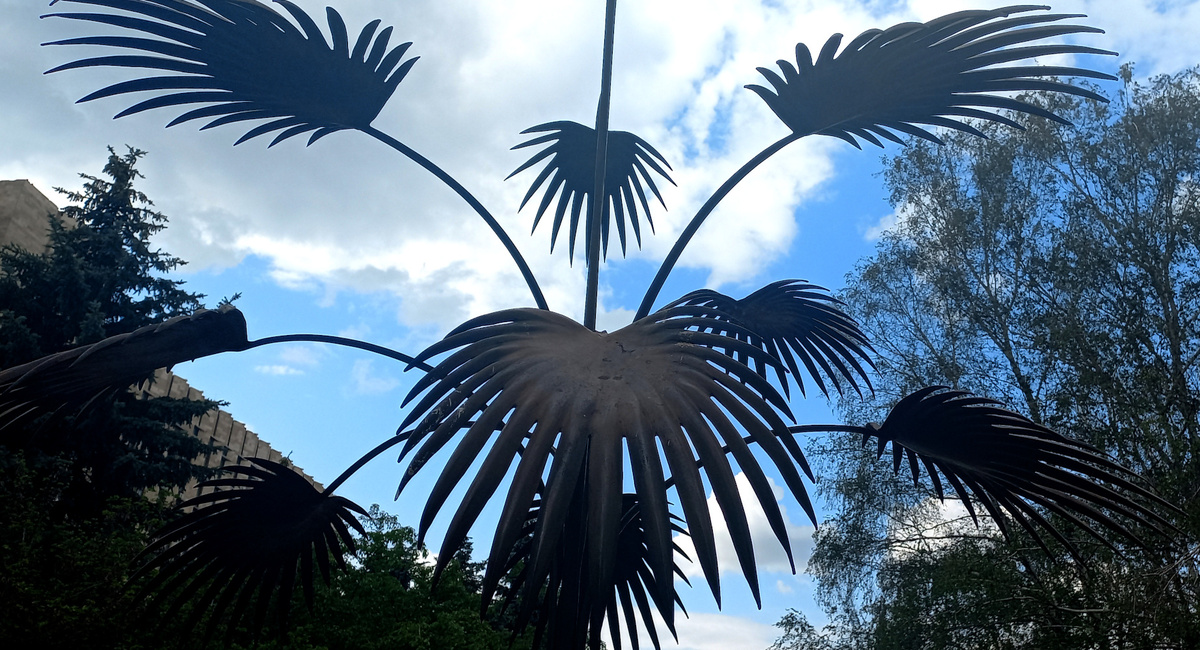 «Пальма Мерцалова» на бульваре Пушкина в Донецке. Фото 2025 г