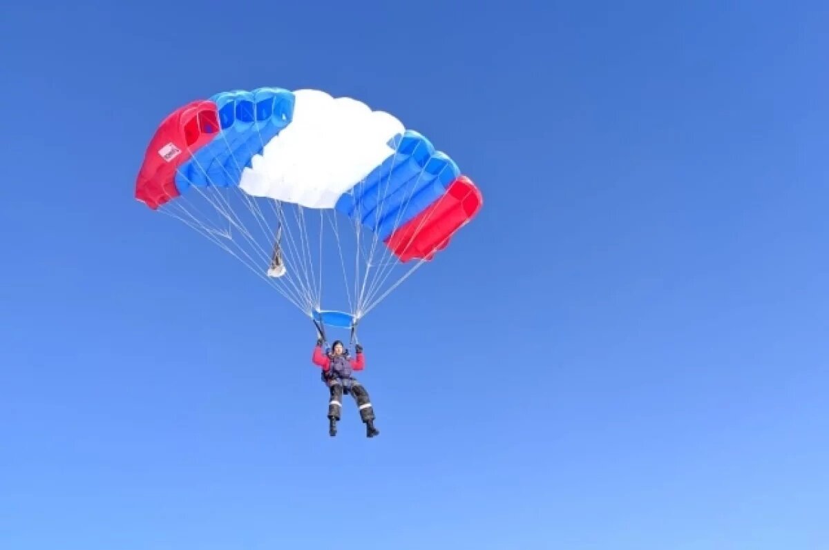    В Подмосковье парашютист застрял на верхушке 30-метрового дерева