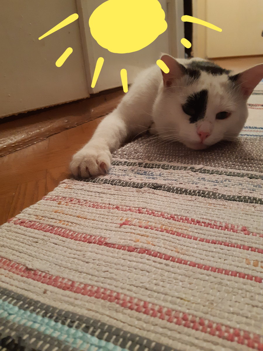 Солнышко, ни нада тебя!