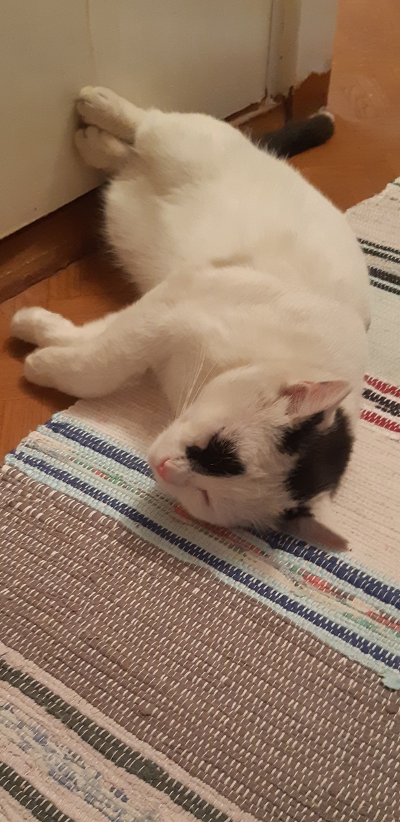 Ох, лето красное, любил бы я тебя каб не жара, да комары, да шуба.