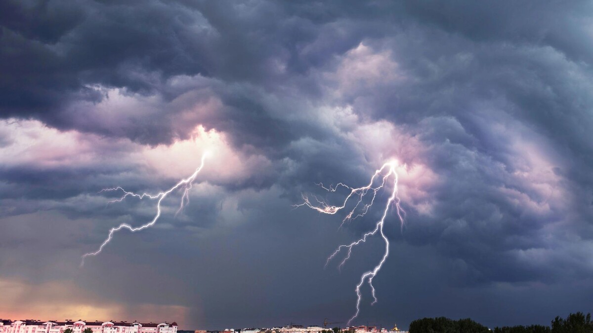    Фото: Roman Mikhailiuk / Shutterstock / Fotodom