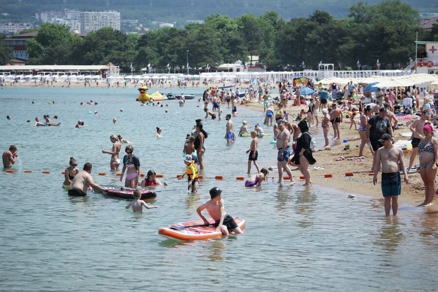     / Источник: © Виталий Тимкив/РИА Новости