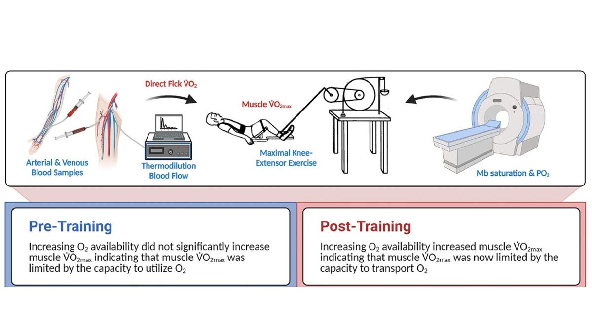 Рисунок 1. Применяемые методики.