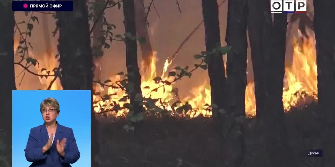 Власти Ставрополья назвали причину почти половины пожаров на сельхозугодьях в крае