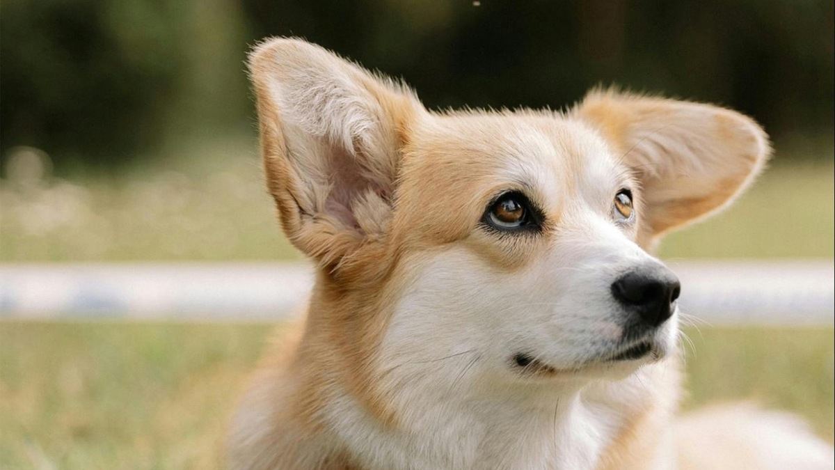    Страх — не инструмент воспитания. Он рушит связь между вами.