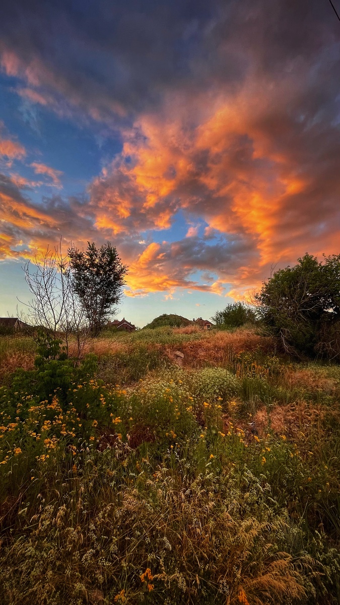 Красивый закат по дороге во время прогулки с собакой