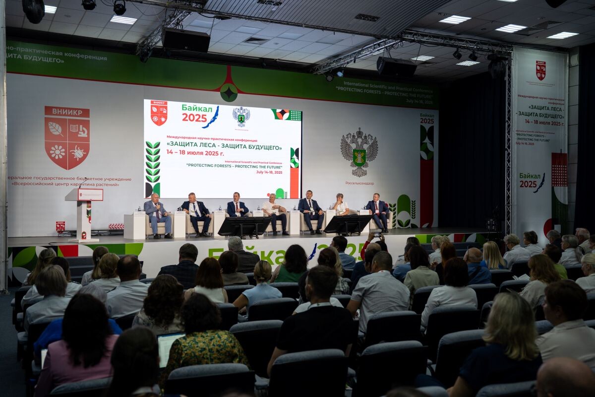 Фото: Александр Плонский