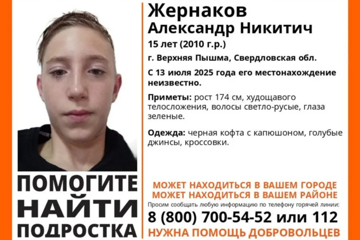    Фото: ЛизаАлерт