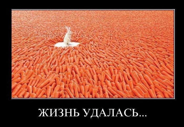 Обложка публикации. Сеть.