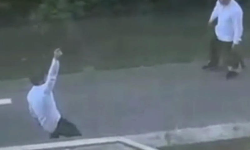    Скриншот видео: пресс-служба ГУ МВД по г. Санкт-Петербургу и Ленинградской области.