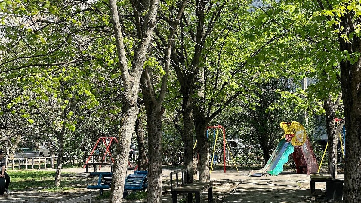    Фото: телеканал «Краснодар»