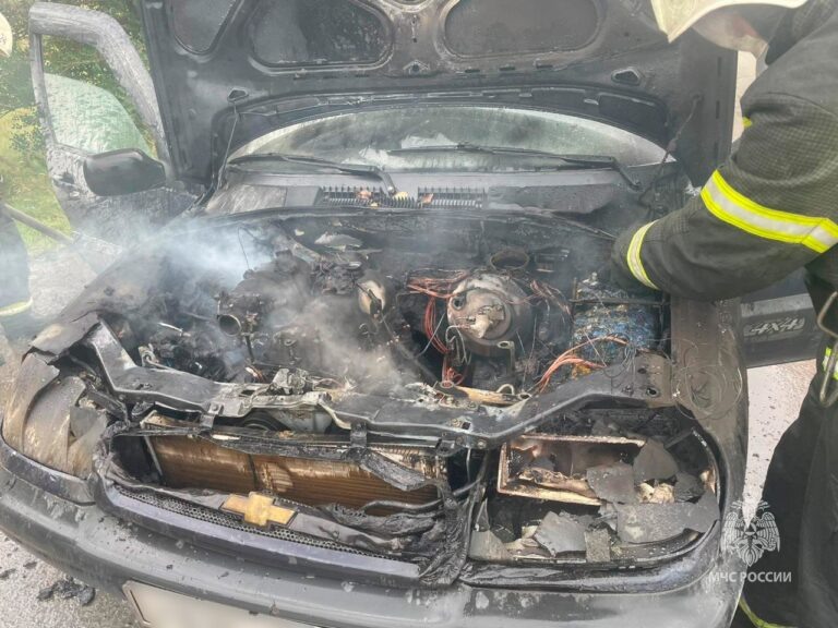    Фото: МЧС России Илья Федоров