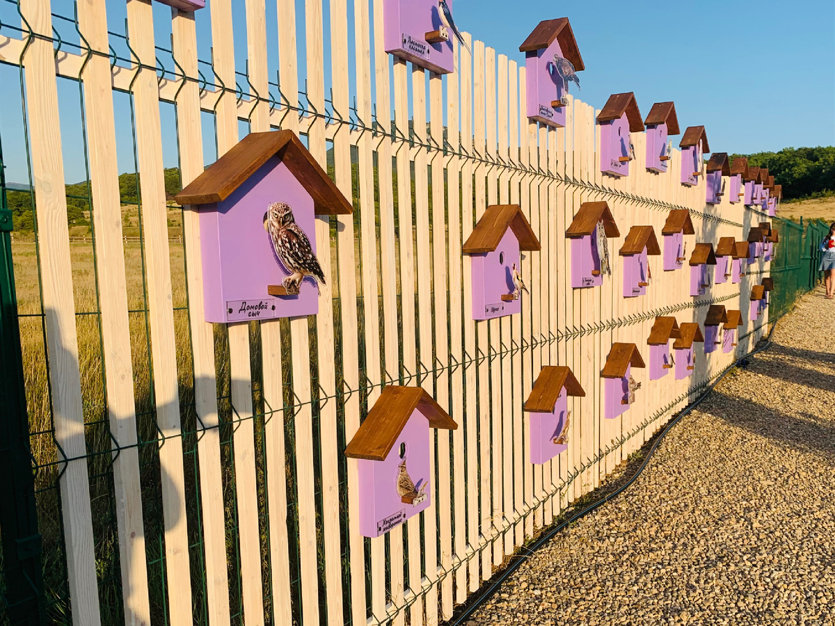 Красивый заборчик на лавандовой ферме 