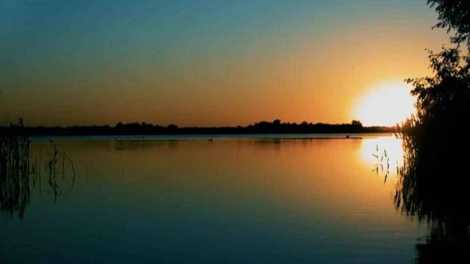 Фото: © Кадр из программы "Невероятно интересные истории", РЕН ТВ