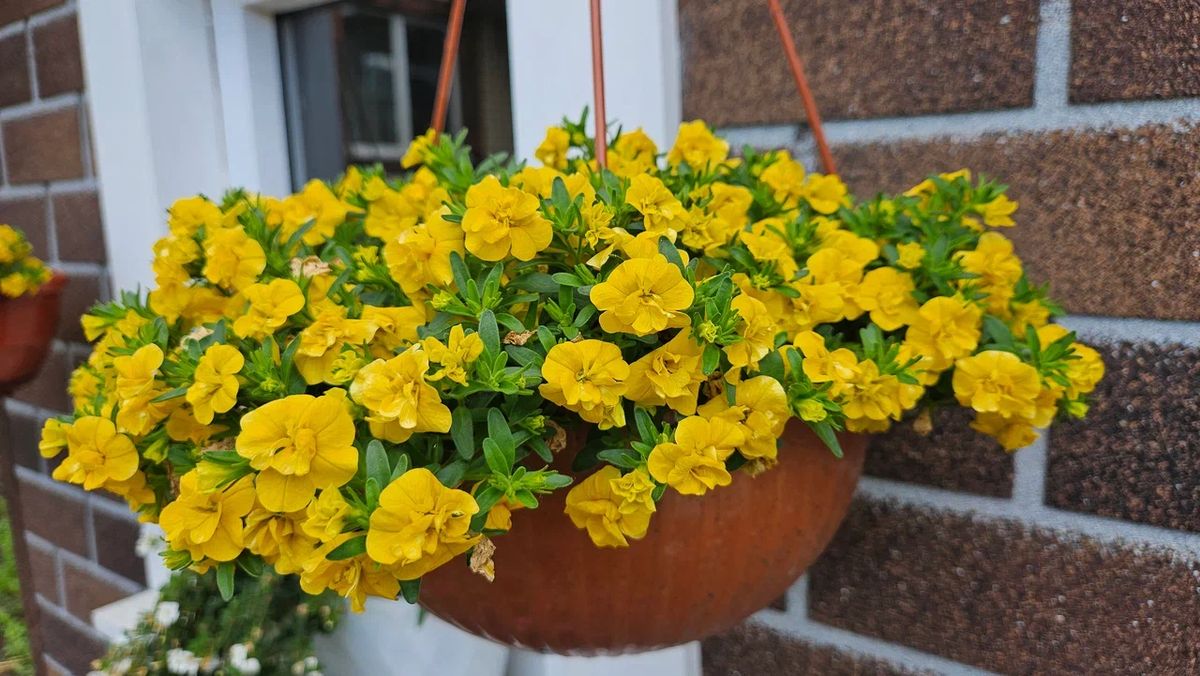 Ну разве не красота?