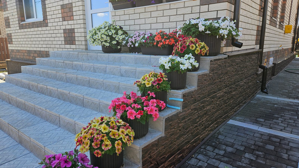 Наше крыльцо в этом сезоне выглядит так. Как мне кажется, есть на что посмотреть))