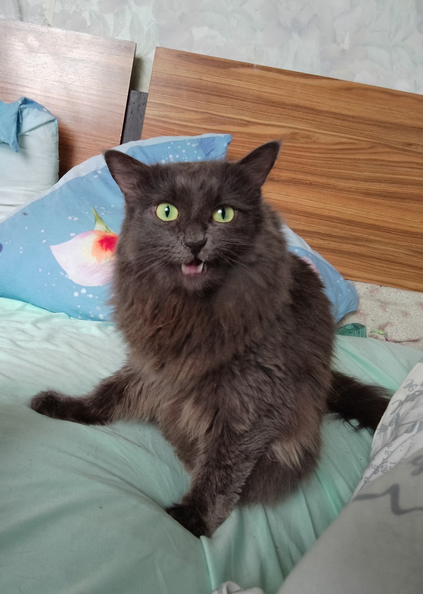 Варя рекомендует