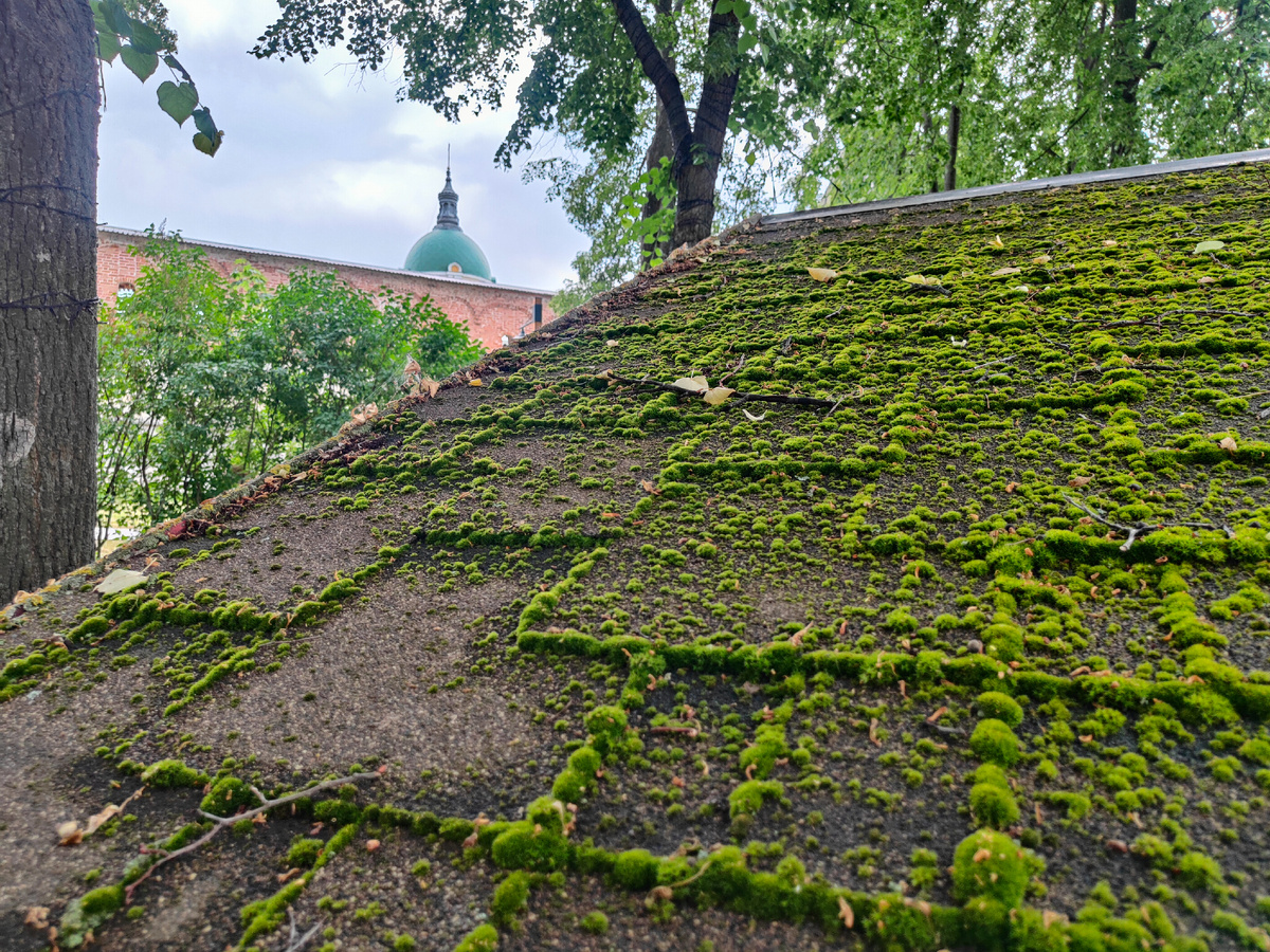 фото автора Елены М.