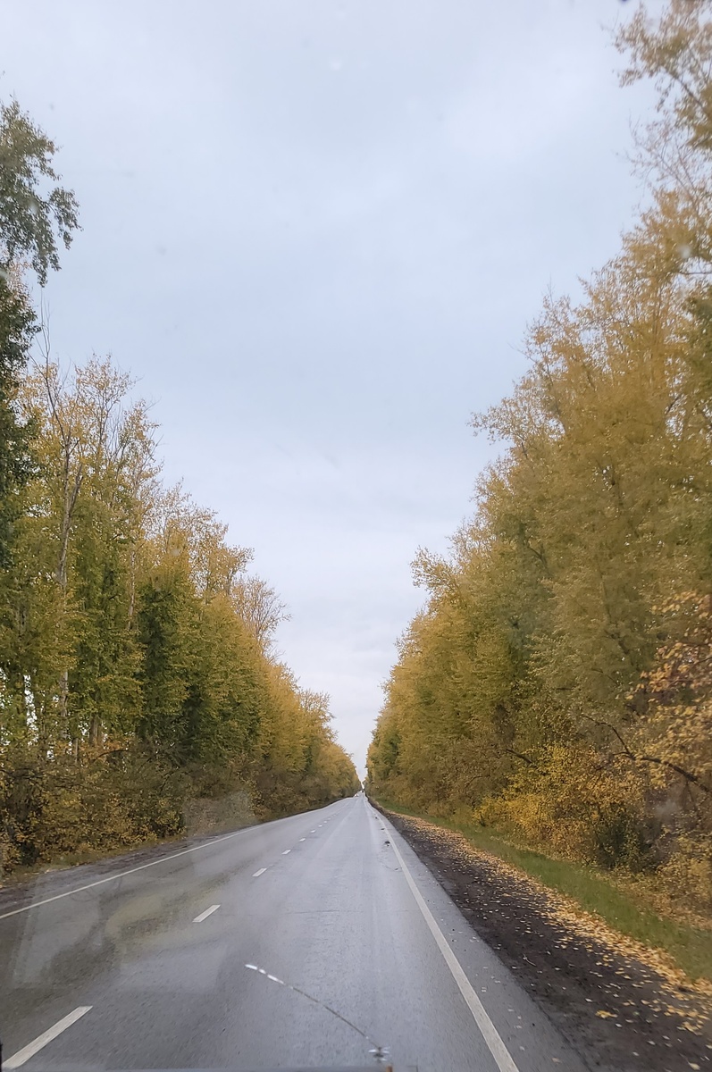 Одиночество примерно такое 