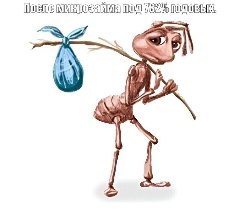 До чего доводят микрозаймы