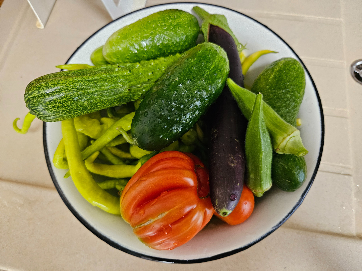 Мой урожай 15 июля