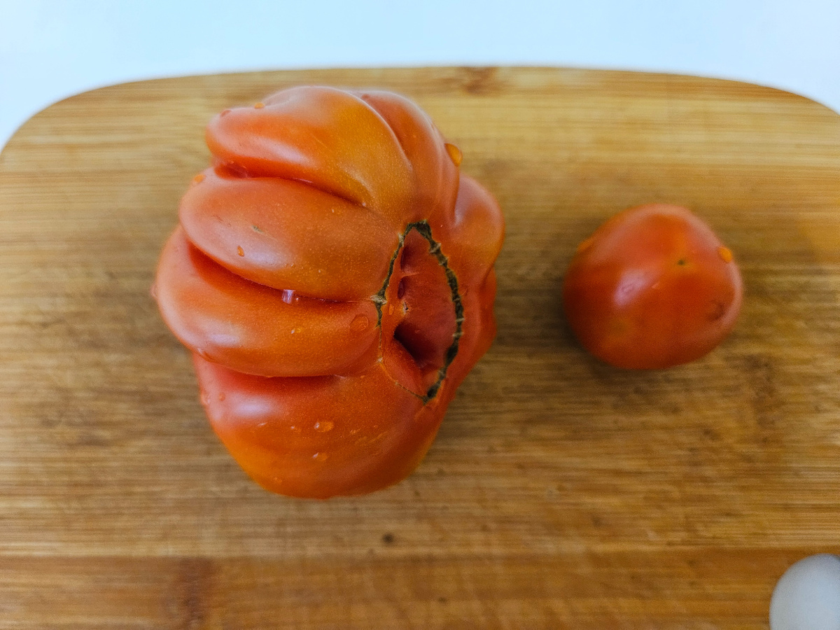 Первые помидоры