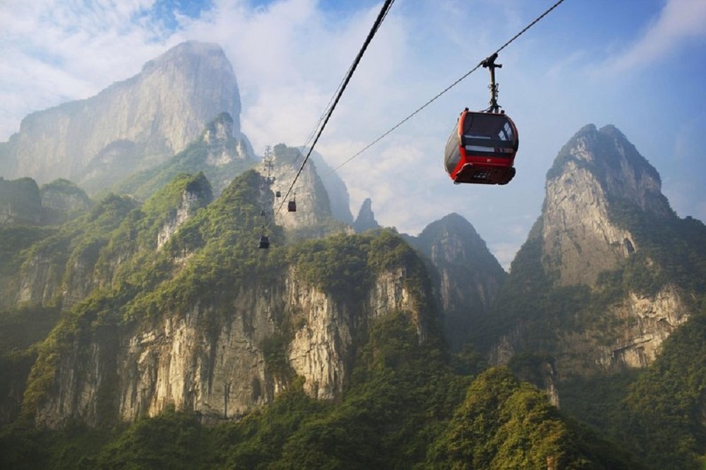 Фото: Getty Images/Vetta