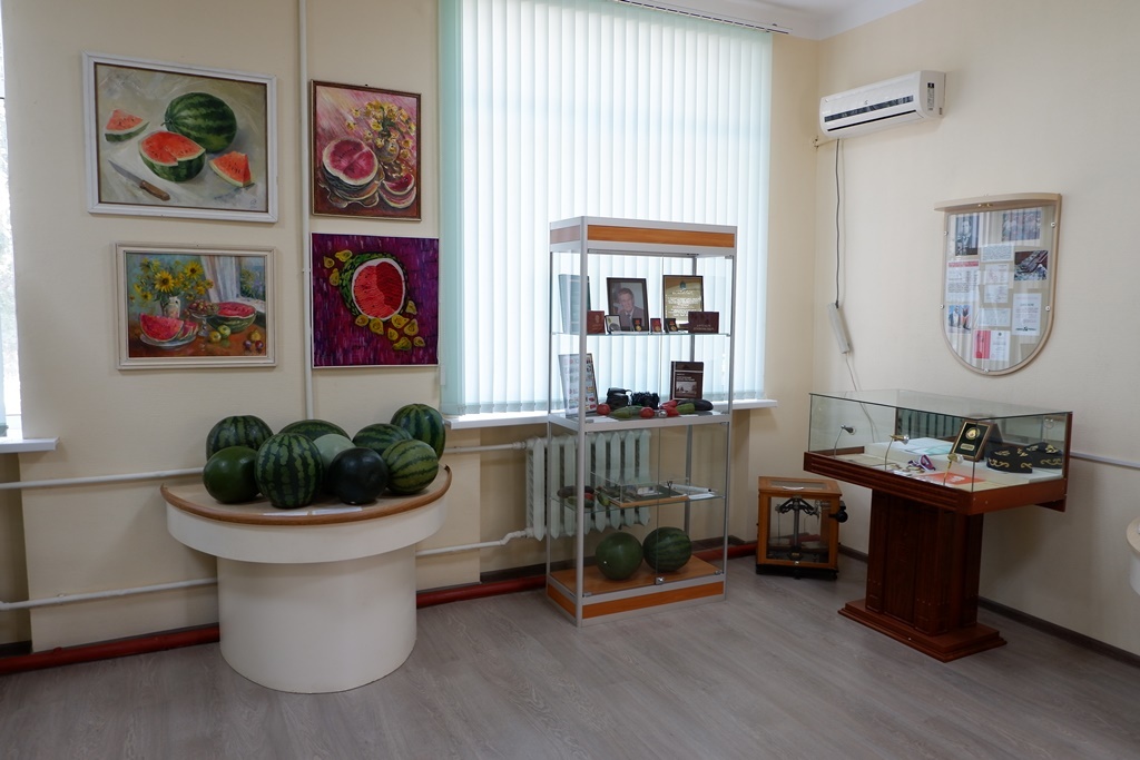 Экспозиция Музея Российский арбуз в Камызяке Астраханская область (фото с сайта музея)