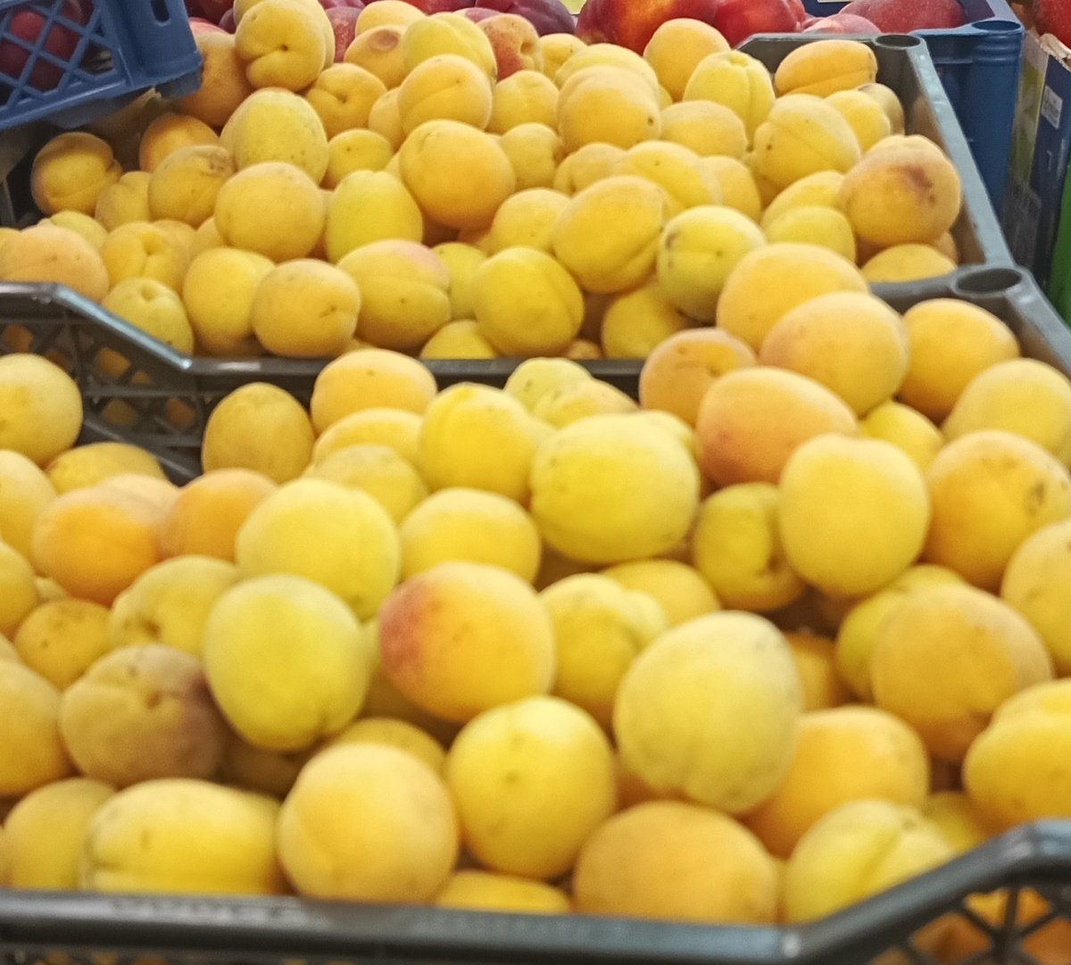 Цена 99 рублей