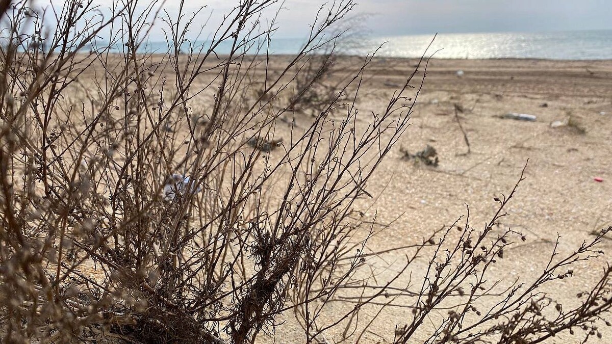    Фото: телеканал «Краснодар»