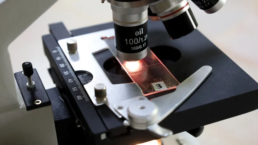    Елена Майорова/Global Look Press